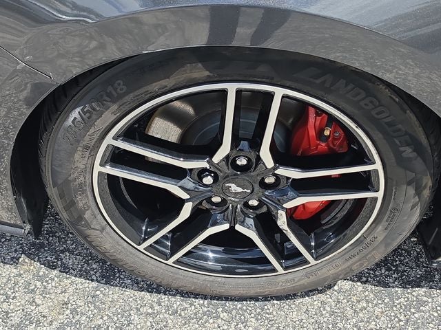 2019 Ford Mustang GT