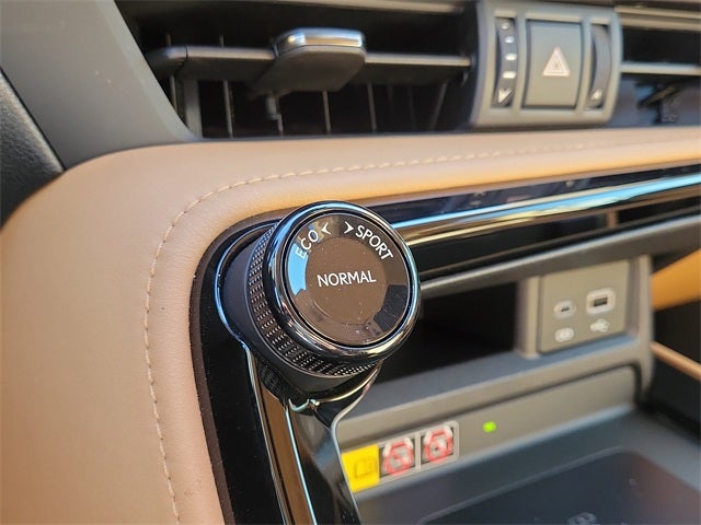 2024 Lexus NX 250 Premium